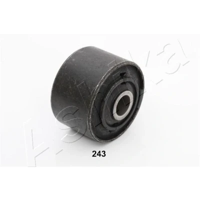 Imagen de brazo oscilante, bujes de ASHIKA GOM 243