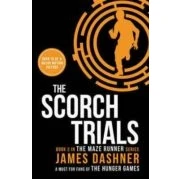 Imagen de The Scorch Trials (maze Runner 2)