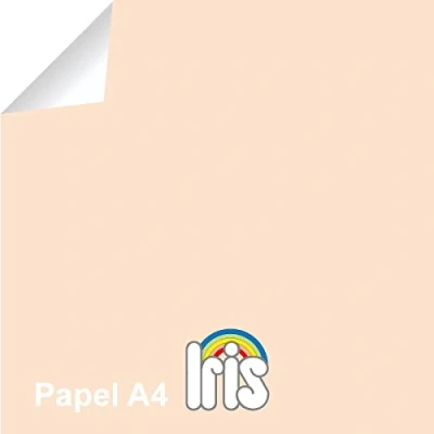 Imagen de Papel Color CANSON Repro Iris Din A4 80 gr. Salmón, Pack x100 Hojas