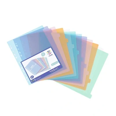 Imagen de Viquel Lote de 12 separadores plástico para carpeta A4 Maxi formato o palanca (24,5 x 30,5 cm)