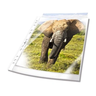 Imagen de Durable 265819 fundas para folletos (DIN A4 Business, 0,06 mm) 100 piezas, transparente