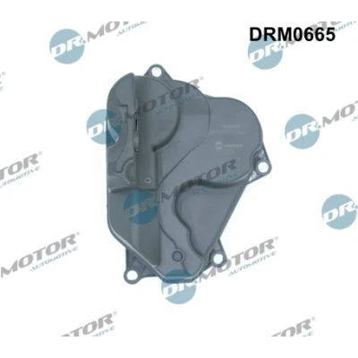 Imagen de Separador de aceite, aireación cárter aceite Dr.Motor Automotive DRM0665
