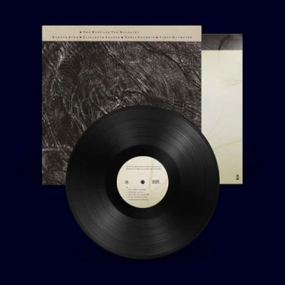 Imagen de the Moon &amp; Melodies [Vinilo]
