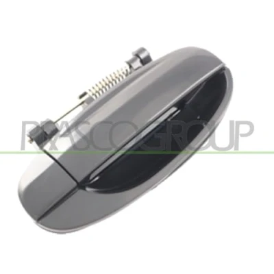 Imagen de PRASCO DW3268107 Manecilla de Puerta exterior, Atrás derecha negro liso DAEWOO: Kalos Hatchback, Berlina