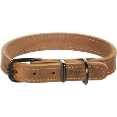 Imagen de Flamingo Collar Montana Piel Coñac S/M 32 40cm x 20mm con Remaches y Hebilla Tiene un Acabado Brillante Negro