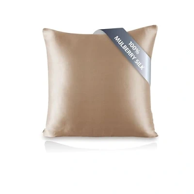 Imagen de townssilk Funda de Almohada Seda 100% Morera Pura 19 mm, por Ambos Lados, para la Salud Piel del Cabello, Seda, Cremallera Oculta 600 Hilos, 1 Pieza, 60x