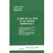 Imagen de COMO ES LA VIDA EN EL MUNDO ESPIRITUAL
