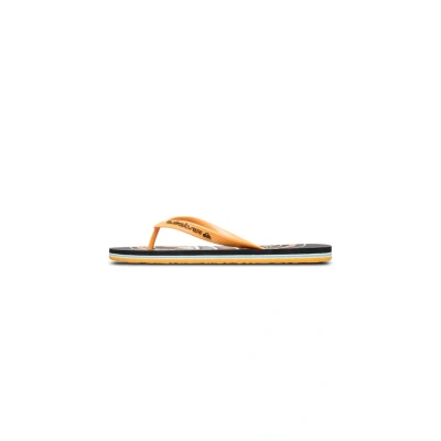 Imagen de Quiksilver Molokai Screen Sandalias de dedo, Hombre, Talla: 42, Bky Fibra sintética