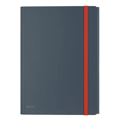 Imagen de Leitz 3Flap Carpeta de anillas (A4, polipropileno), color gris