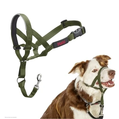 Imagen de Collar Ronzal HALTI para Evitar Que tu Perro Tire de la Correa, Ajustable con Banda Nariz Acolchada. Adiestramiento canino antitirones Perros medianos (Talla 2, Bosque Verde)