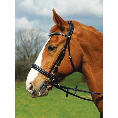 Imagen de Rhinegold Anatomic Cavesson Bridle with Reins Full Havana Brida, Extra Grande
