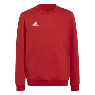 Imagen de adidas Performance Entrada Sudadera para niños, Talla: 128, Team power red