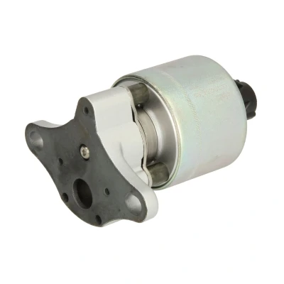 Imagen de Válvula EGR DELPHI EG10397