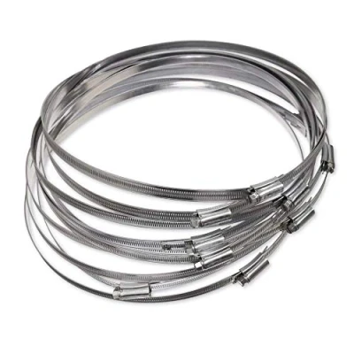 Imagen de Eclipse Professional Tools ECW1 14 W1 Bolsa de 10 abrazaderas acero galvanizado tornillo sinfín 290 330mm (11 ⅞&quot; 13&quot;)