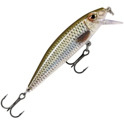 Imagen de Rapala X Rap CountDown Señuelo deslizante para agua dulce, RA5818180, Live Roach, 5cm, 4g