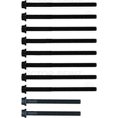 Imagen de REINZ 14 32134 01 Juego de Tornillos Culata Torx interior FORD: Focus 2, Transit Connect Mk1 Furgón, 2 Limousine