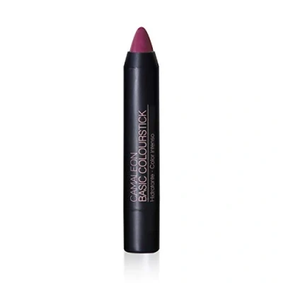 Imagen de Camaleon Cosmetics Basic Colourstick Berenjena Pintalabios Mate Larga duración Con Aloe Vera y Rosa Mosqueta Hidratante Color Vegano 1 Unidad 4gr