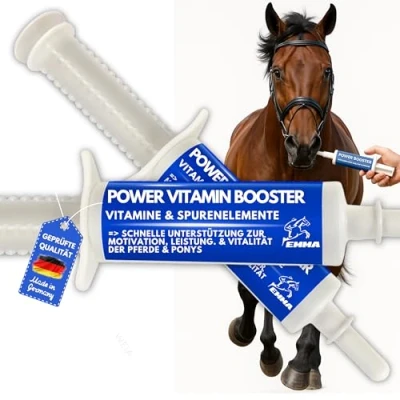 Imagen de Pasta vitamínica para Caballos I Refuerzo de energía Vitaminas B Complejo vitamínico B12 Hierro Zinc Lisina Minerales Fortalecer el Sistema inmunológico Vitamina E Oligoelementos Oldie Mares 2S