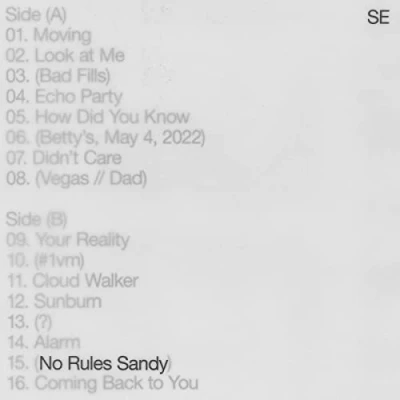 Imagen de No Rules Sandy (Vinilo)