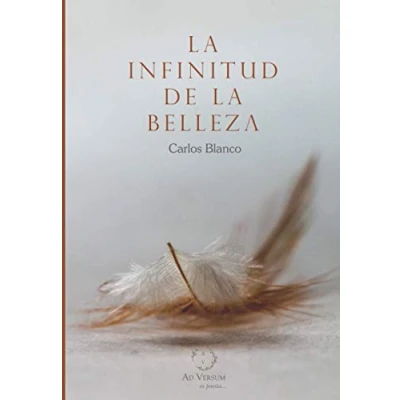 Imagen de la infinitud de belleza (AD VERSUM)