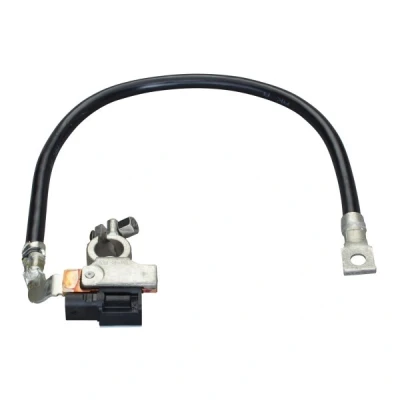 Imagen de HELLA 6PK 010 562 941 Sensor, control de batería