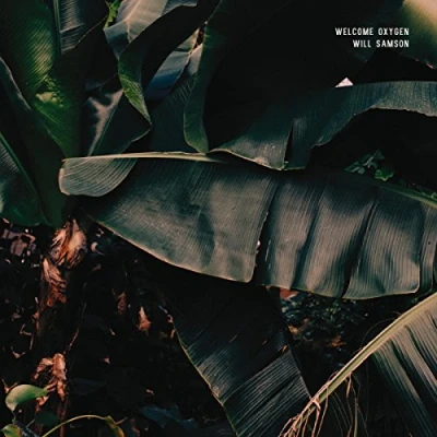 Imagen de Welcome Oxygen Vinilo