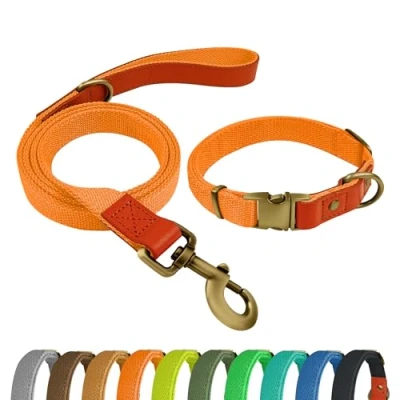 Imagen de Qianruida Juego de Collar y correa para perros ajustable perro pequeños, medianos grandes, naranja, L