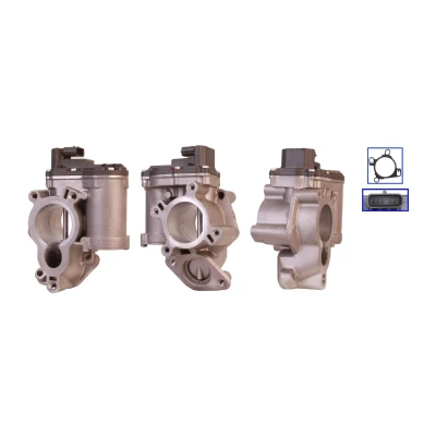 Imagen de DRI 717730092 Válvula EGR eléctrico con juntas RENAULT: TRAFIC 2 Kasten, MEGANE 3, Laguna III Coupé, NISSAN: Primastar Furgón, NV400 Furgón