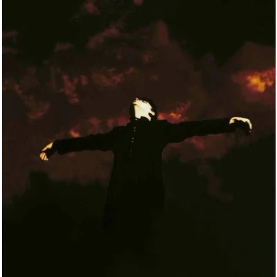 Imagen de Pure [Vinilo]
