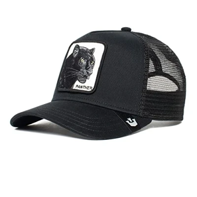Imagen de Gorra Goorin Bros niño pantera negra UNICA
