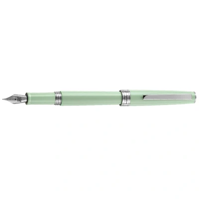 Imagen de Montegrappa Armonia Steel Neo Mint FP M