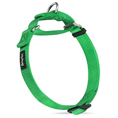 Imagen de Premium actualizado Cuello de Perro Martingale antivaho Nylon Resistente para Perros Grandes, pequeños, medianos, pequeños y (Pequeño S, Lime Verde)