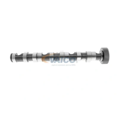 Imagen de VAICO V10 0869 Árbol de Levas Lado escape Original calidad AUDI: A4 B6 Avant, B6/B7 Cabrio, Berlina