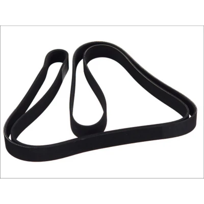 Imagen de Correa trapecial poli V DT SPARE PARTS 4.80721