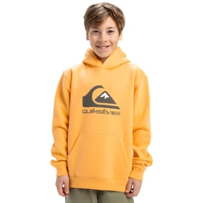 Imagen de Quiksilver Big Logo Hoodie Jersey de Forro Polar Niño