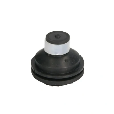 Imagen de REINHOCH RH11 2109 Soporte de motor delante RENAULT: GRAND SCENIC 2, Kangoo I, CLIO 1