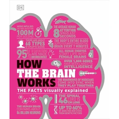 Imagen de How The Brain Works