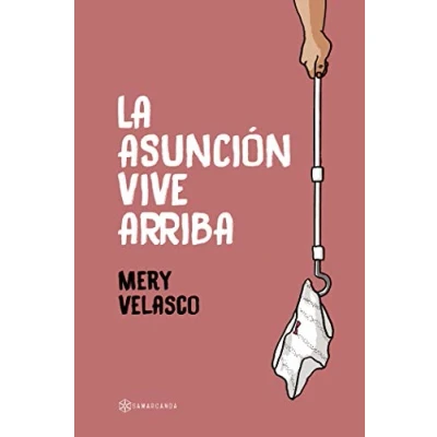Imagen de La asunción vive arriba