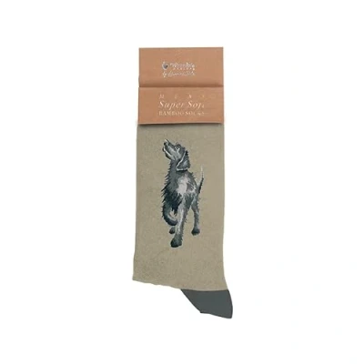 Imagen de Wrendale Designs Calcetines para hombre Walkies Negro Labrador, verde, M