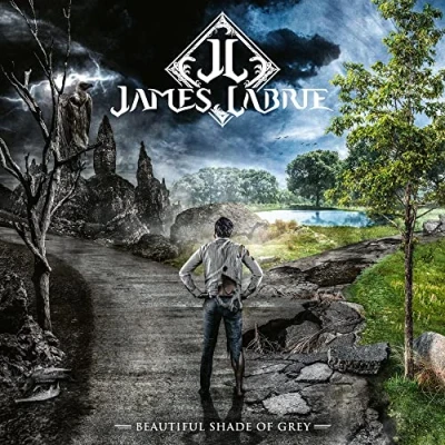 Imagen de Beautiful Shade Of Grey [Vinilo]