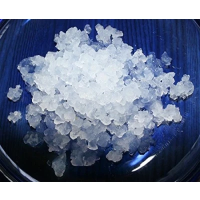 Imagen de 100g de Hongo / Nódulos Frescos Kéfir Agua + Instrucciones Recetas Ayuda y Asesoramiento en español KEFIRALIA®