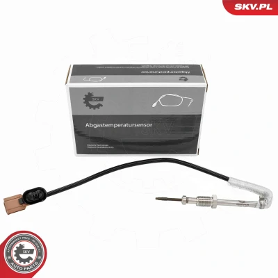 Imagen de Sensor, temp. gas escape ESEN SKV 30SKV478