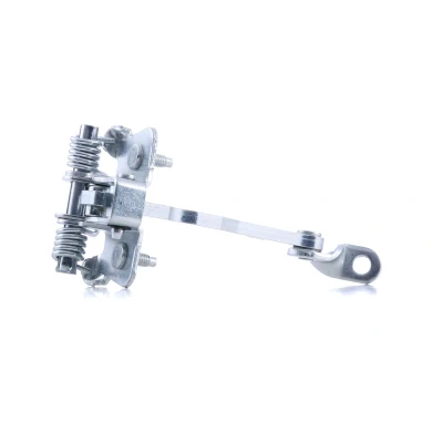 Imagen de FAST FT95631 Asegurador puerta delante, ambos lados RENAULT: Kangoo II Be Bop, Express, / Grand