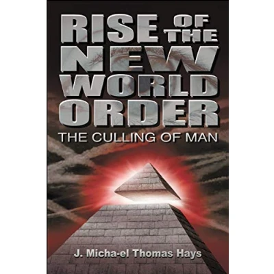 Imagen de Rise of the new world order.