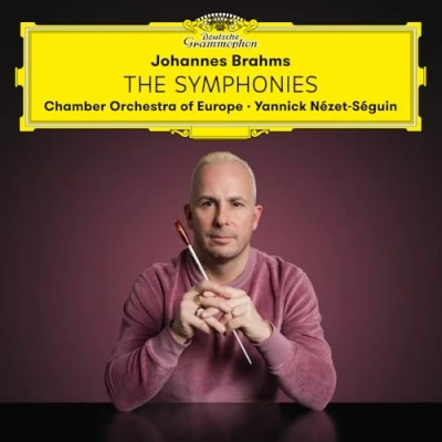 Imagen de Johannes Brahms: The Symhonies