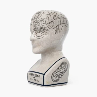 Imagen de Assorted Collections Adorno de cerámica con cabeza frenología coleccionable, retro, busto 23 cm, agrietado L N Fowler