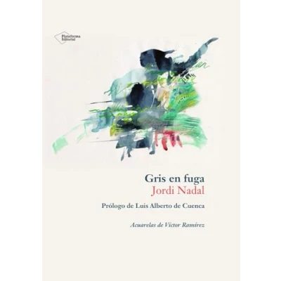 Imagen de Gris en fuga