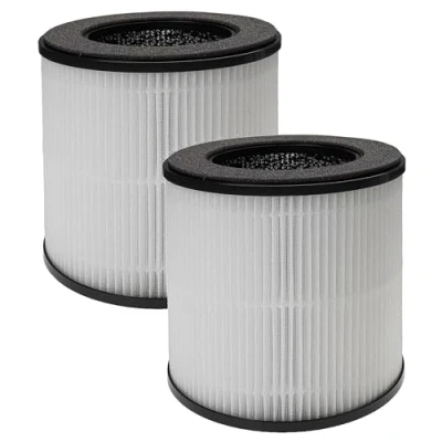 Imagen de vhbw 2x Filtro de aire compatible con Nobebird B D02M purificador combi prefiltro + HEPA carbón activo