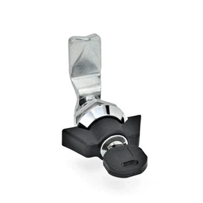 Imagen de ganter Norma Elementos GN 115 de sck 24 Cerrojo con cilindro llaves, 1 pieza, Negro, mate