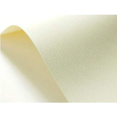 Imagen de Netuno 40x cartón gofrado acanalado color marfil DIN A5 148x210mm 246g Elfenbens Chamois cartulina unilateral papel verjurado para impresoras tarjetas diplomas invitaciones certificados menús libros